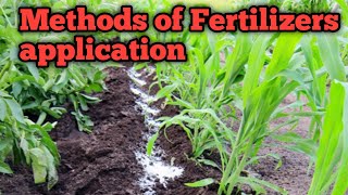 Methods of Fertilizer Application  How to apply fertilizers  BroadcastingFertigationPlacement [upl. by Elaynad]