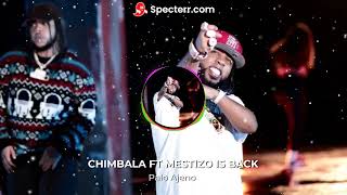 Palo Ajeno  Chimbala DOBLE TONO Mestizo Is Back [upl. by Acihsay430]