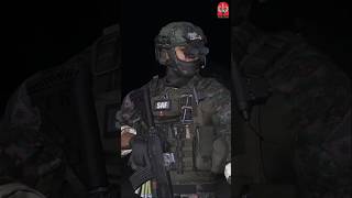 PNPSAF MODERN LOADOUT youtubeshorts arma police pnp [upl. by Quenby583]