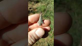 Indian Arrowhead quotBird Pointquot arrowhead oklahoma nativeamerican [upl. by Mikes]