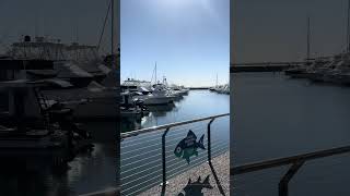 Port Stephens Marina [upl. by Arenahs]