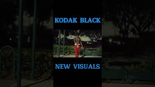 VIRAL NEW KODAK BLACK kodakblack vulturelove ktb yns [upl. by Yllitnahc999]