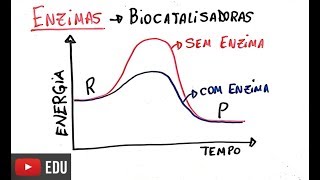 Proteínas  Enzimas [upl. by Esalb277]