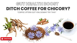 Why Chicory Coffee Might Be Your Next Favorite Drink [upl. by Ingold189]