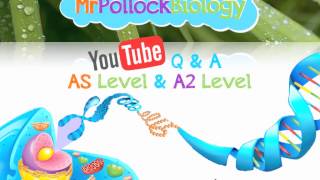 MrPollockBiology A Level Revision Q amp A 2014 [upl. by Mauer]