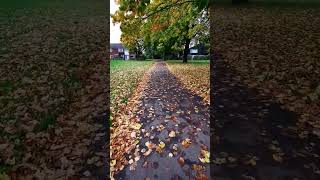 Windy autumn day in England [upl. by Aitahs]