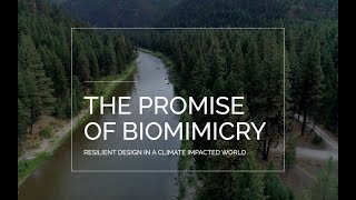 quotThe Promise of Biomimicryquot  Innovation and Design Inspired by Nature [upl. by Irakab]