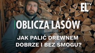 Jak palić drewnem dobrze i bez smogu  Oblicza lasów 10 [upl. by Adnoved]