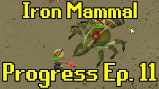 Oldschool Runescape  2007 Iron Man Progress Ep 11  Iron Mammal [upl. by Ayanal]