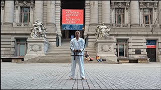 DoSan tul 24 movements performed at American National Museum Manhattan New York Subscribe 🥋🔥 [upl. by Bock465]