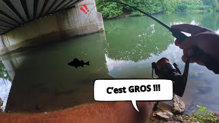 Du GROS poisson sous ce PONT   Pêche au leurre [upl. by Kuebbing]