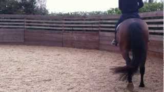 First canter on unrideable horse in to defuse bucking [upl. by Trev]