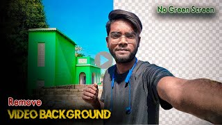 Remove Video Background Without Green Screen using AI [upl. by Ttemme249]