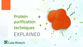 Protein Purification [upl. by Dnaletak]