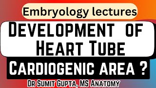 Development of Heart Tube  Cardiogenic area  Heart Embryology [upl. by Leahciam755]