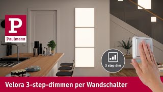 In drei Schritten zum perfekten Licht mit dem LEDPanel Velora [upl. by Aeslehs414]