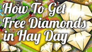 💎 How to get free diamonds in Hay Day  Hay Day Guide [upl. by Aralk]