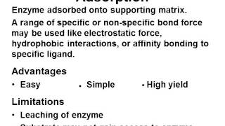 Immobilization of cells and enzymes [upl. by Netsrejk]