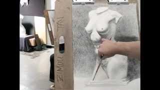 Zimou Tan  Art  Step by step how to draw torso with crosshatching drawing demo [upl. by Amari779]