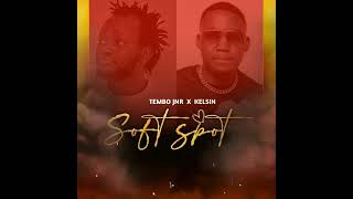 Tembo Jnr X KelSin  Soft Spot Official Visualiser Skiza 9843458 [upl. by Gney]