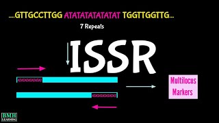 ISSR  Inter Simple Sequence Repeat  ISSR Markers  ISSR PCR [upl. by Anirres]