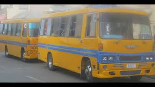 Barbados Reggae Buses Aka Minibuses [upl. by Yecniuq]