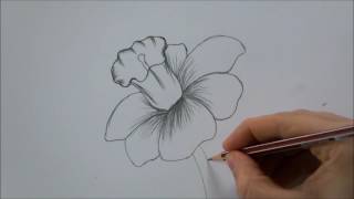 How To Draw a Flower step by step In 6 Minutes [upl. by Elmina]