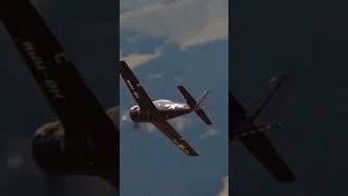 Warbird Fly By warbird aviation warbirds swissalps [upl. by Neelyahs]