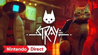 Stray – Announcement Trailer – Nintendo Switch [upl. by Schapira772]