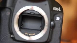 Shutter Speed 60D vs 6D vs 1D mkiii vs 1Dx [upl. by Stavros812]