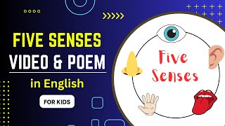 Five Senses Video  Five Senses Song  Five Senses for Kindergarten  Step to learn [upl. by Clementis778]