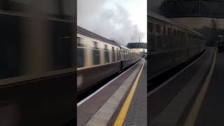 7029 and 5043 come absolutely FLYING through Tiverton Parkway The Mayflower railtour 27924 [upl. by Akiemaj522]