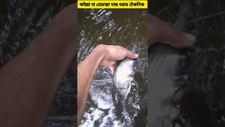 ফইল্লা বা হোয়াল্লা মাছ ধরার টেকনিক netfishing fishinglife fishingtechnique fishing viral [upl. by Max]