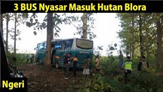 3 BUS Nyasar Masuk Hutan Blora Jawa Tengah [upl. by Ahseiat]