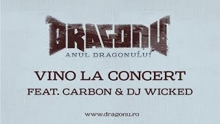 Dragonu AKA 47  Vino la concert feat Carbon amp Dj Wicked [upl. by Una833]