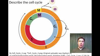 Honors Biology 33 All Cells Come from PreExisting Cells [upl. by Goraud739]