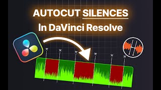 AutoCut Silences in DaVinci Resolve [upl. by Eceirahs452]