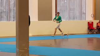 Gothenburg International Crufts qualification 2018 [upl. by Yelyak]