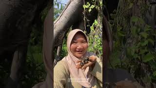 ada yg kena capit minivlog adventure [upl. by Kingsbury]