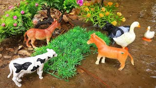 animal video matikata horses hamba cartoon videos tractor cattle abcd  Nov 3 20241013 AM [upl. by Aihseym]