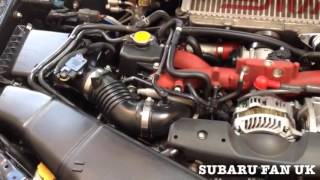 WHERE TO FIND VIN CHASSIS NUMBER ON SUBARU WRX STI IMPREZA [upl. by Prisilla71]