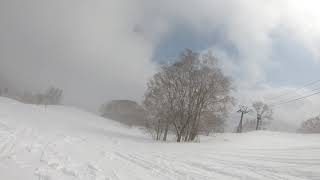 Rusutsu Ski Resort March 2020  Rainbow and Bambi course [upl. by Eleumas]