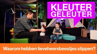 Waarom hebben lieveheersbeestjes stippen  Kleutergeleuter [upl. by Wershba]