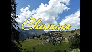 Chamois  Lago di Lod mt2019 Valtournenche VdA [upl. by Blaze]