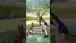 1 Tip for Better Engagement with Your Dog dogtraining alignedk9 belgianmalinois [upl. by Jenda]