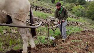 Egoitz Azkue García El Priorat [upl. by Madlen]