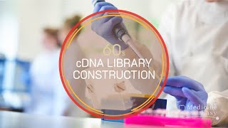 Genetics in 60 seconds cDNA Library Construction [upl. by Alexandra]