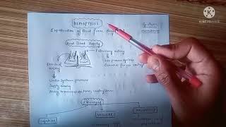 Hemoptysis and its etiology [upl. by Jeno]