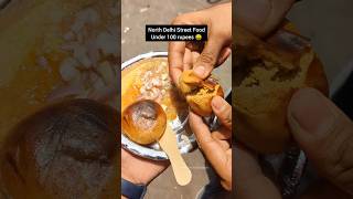 5 Mukherjee Nagar Street Food under 100 rupees 🤑🔥 [upl. by Minna569]