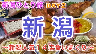 【新潟ひとり旅】DAY2 新潟市 食べ歩き amp 観光 新潟５大ラーメンと新潟人気店１４店食いまくり [upl. by Annoif]